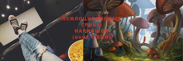 бошки Армянск